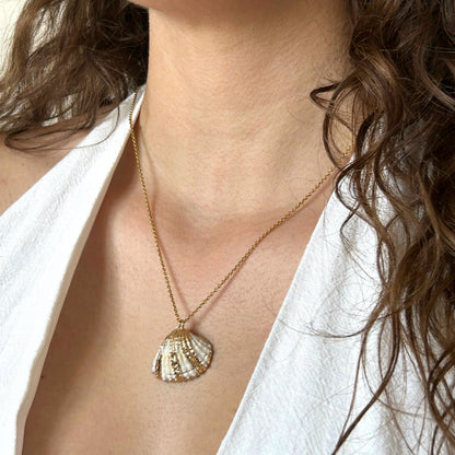 Collier coquillage