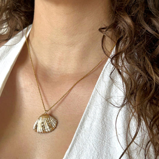 Collier coquillage